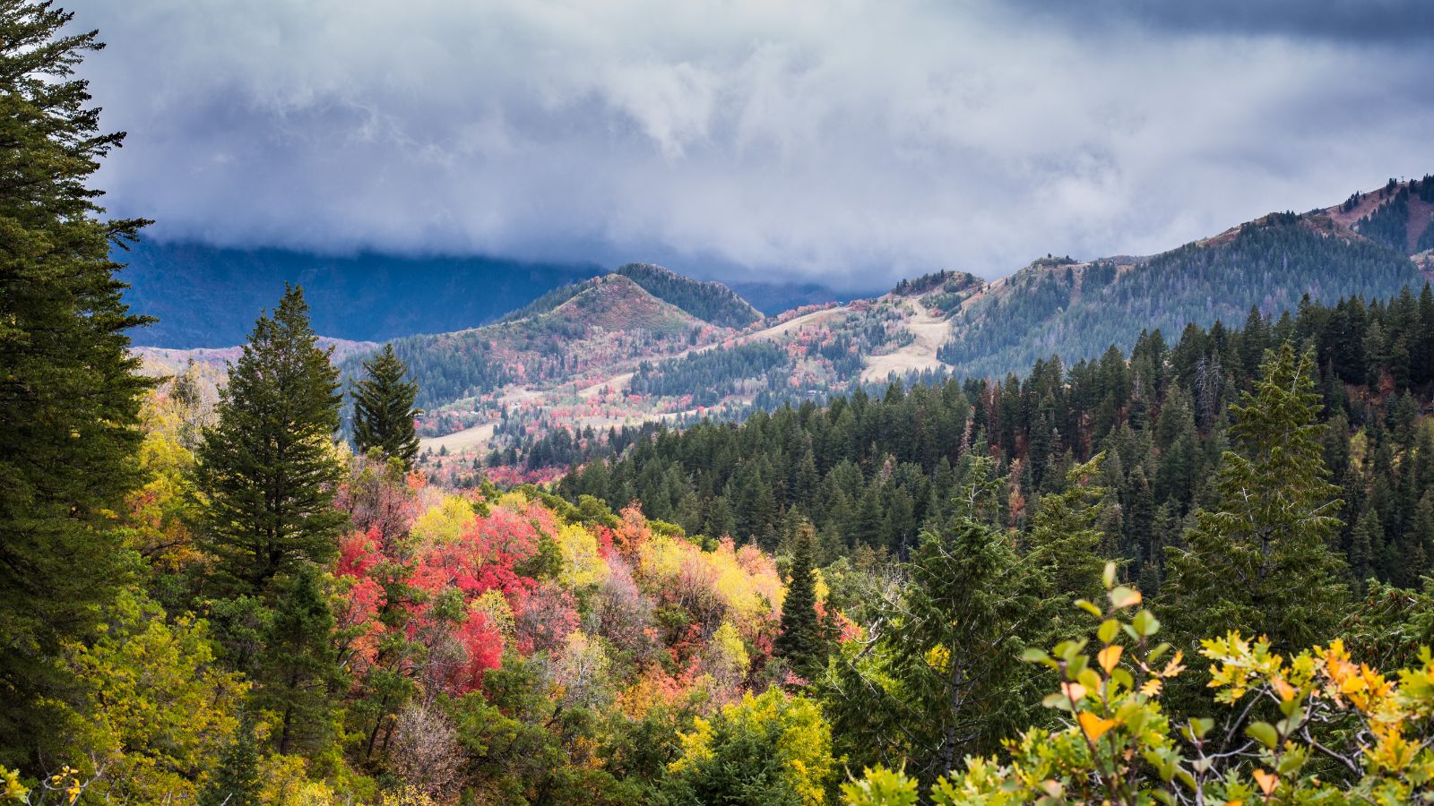 Fall in the Wasatch Mountains