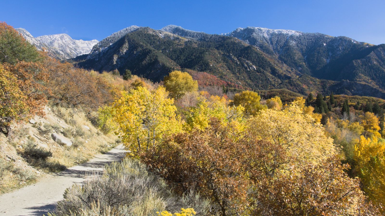 Hiking Trail Bells Canyon